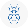 Ant Removals In Burnham On Crouch