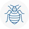 Bed Bug Extermination In Burnham On Crouch