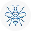 Burnham On Crouch Hornet Nest Removals