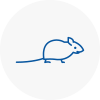 Mice Exterminators In Burnham On Crouch