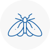 Moth Control Specialists In Burnham On Crouch