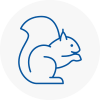 Burnham On Crouch Rodent Removals