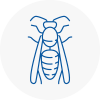 Burnham On Crouch Wasp Nest Removal